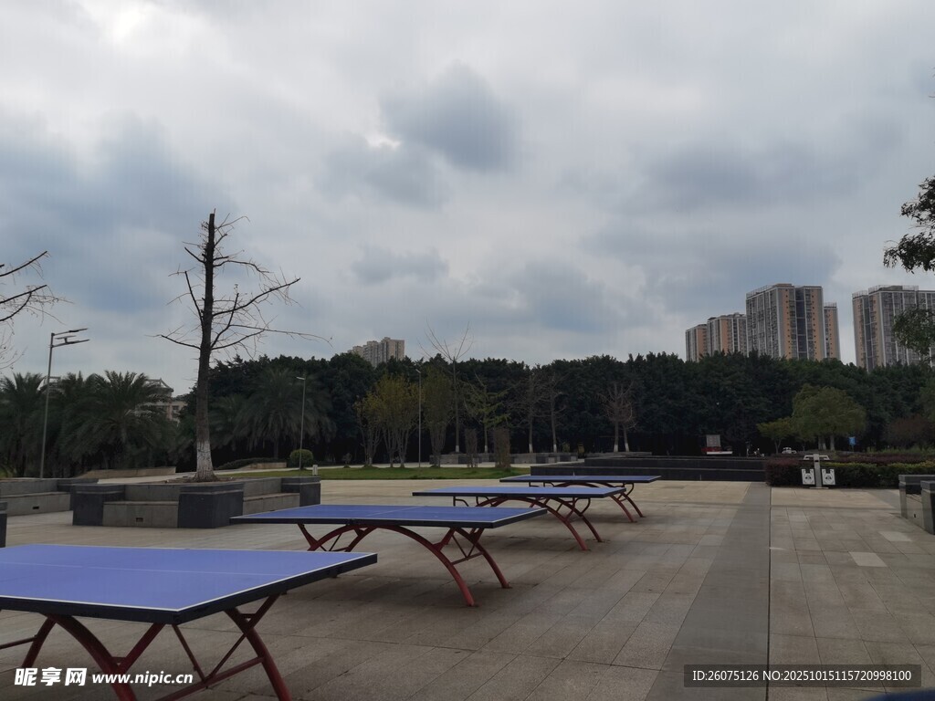 户外空地上的多张乒乓球桌