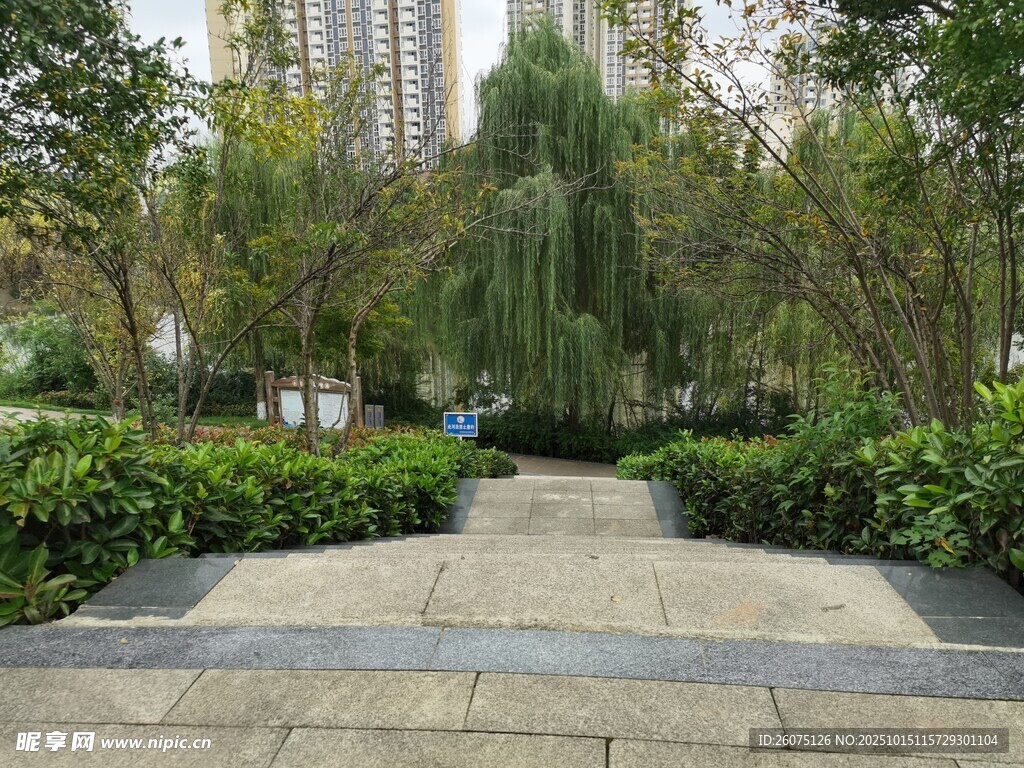 城市林荫步道景观