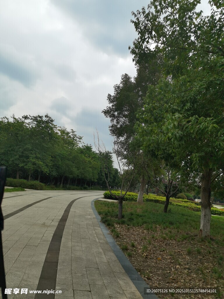 公园林间步道景色