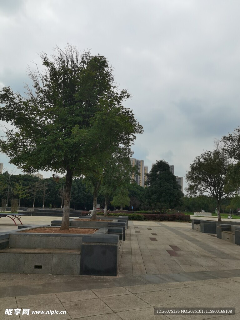 户外广场与树木景观