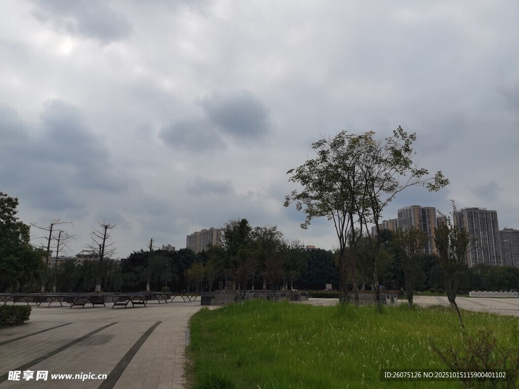 阴天城市公园景观
