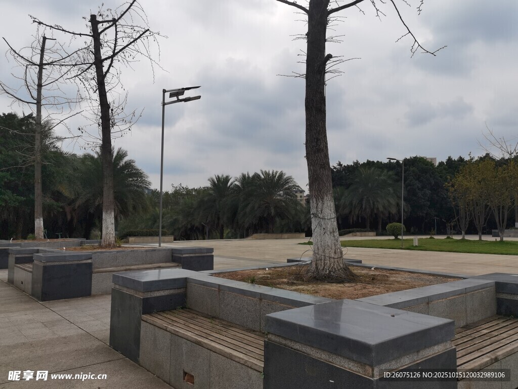公园空旷步道与树木长椅景观
