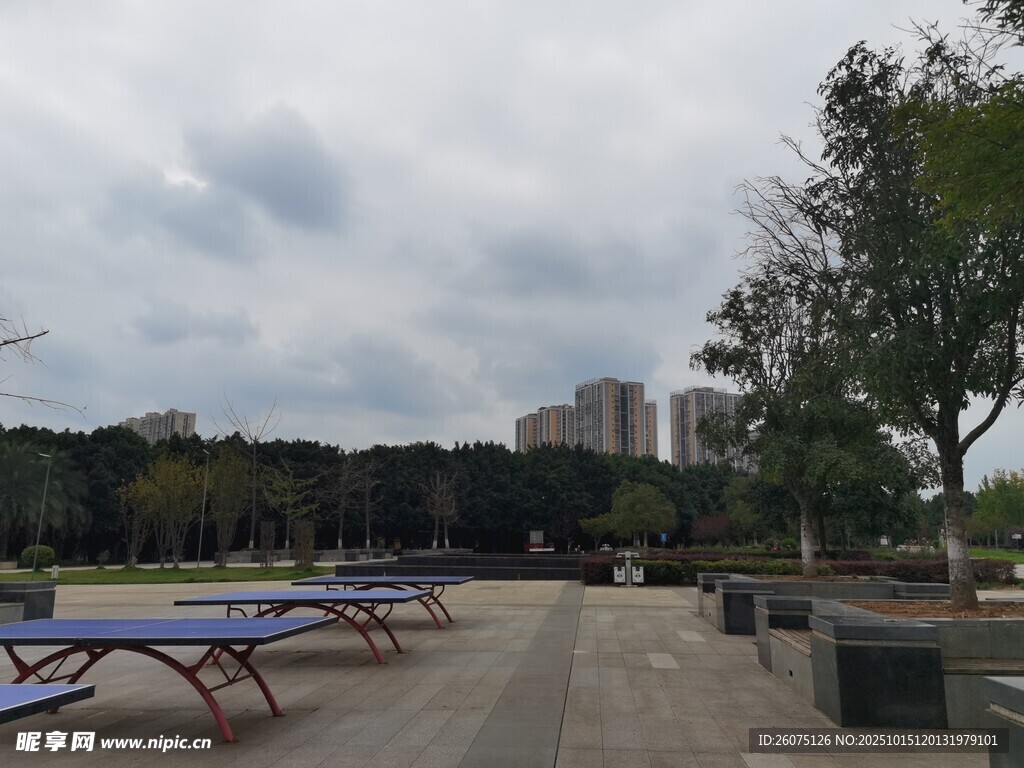 户外休闲场地与乒乓球桌景观
