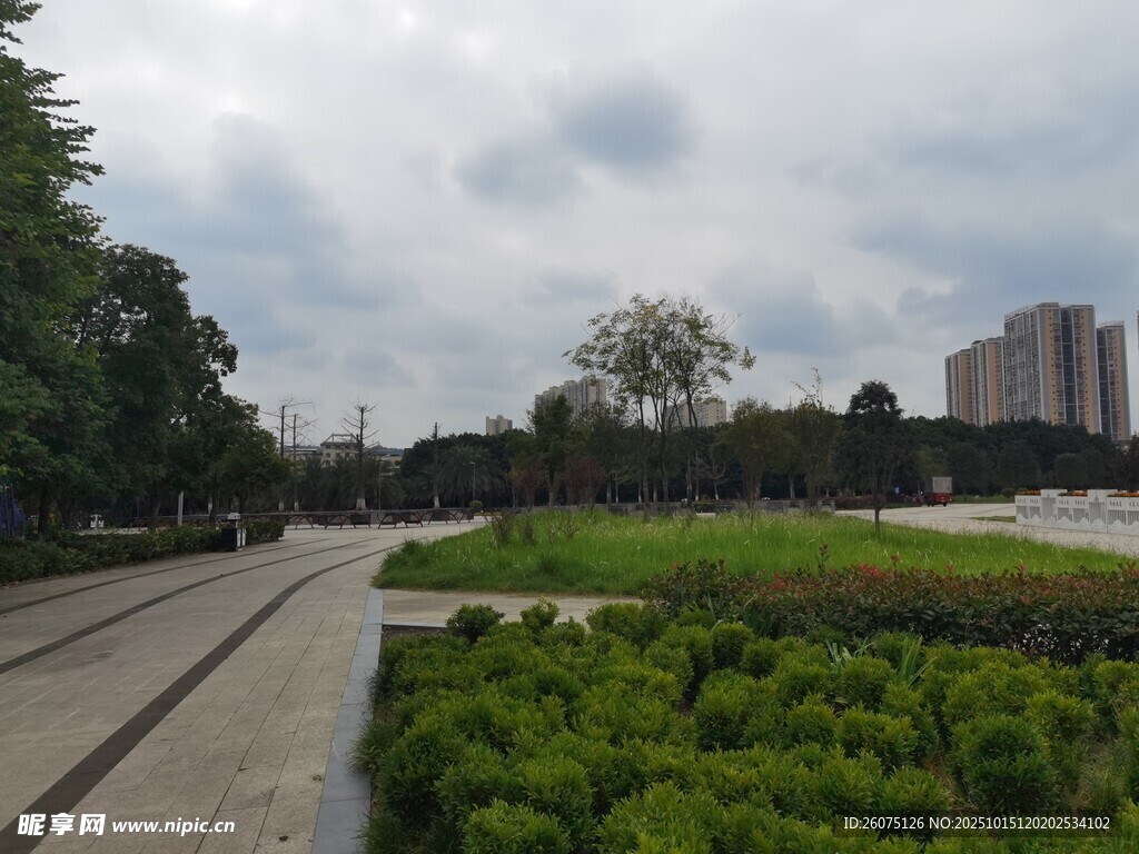 城市中的绿植景观道路