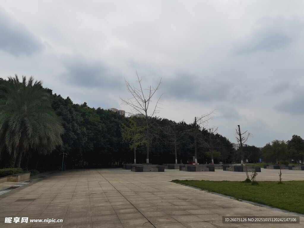 开阔户外广场与葱郁树林