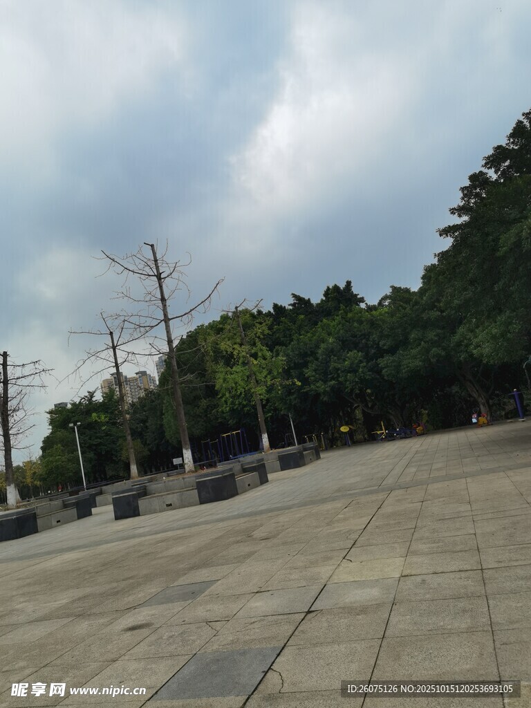 空旷广场与周边绿树景观