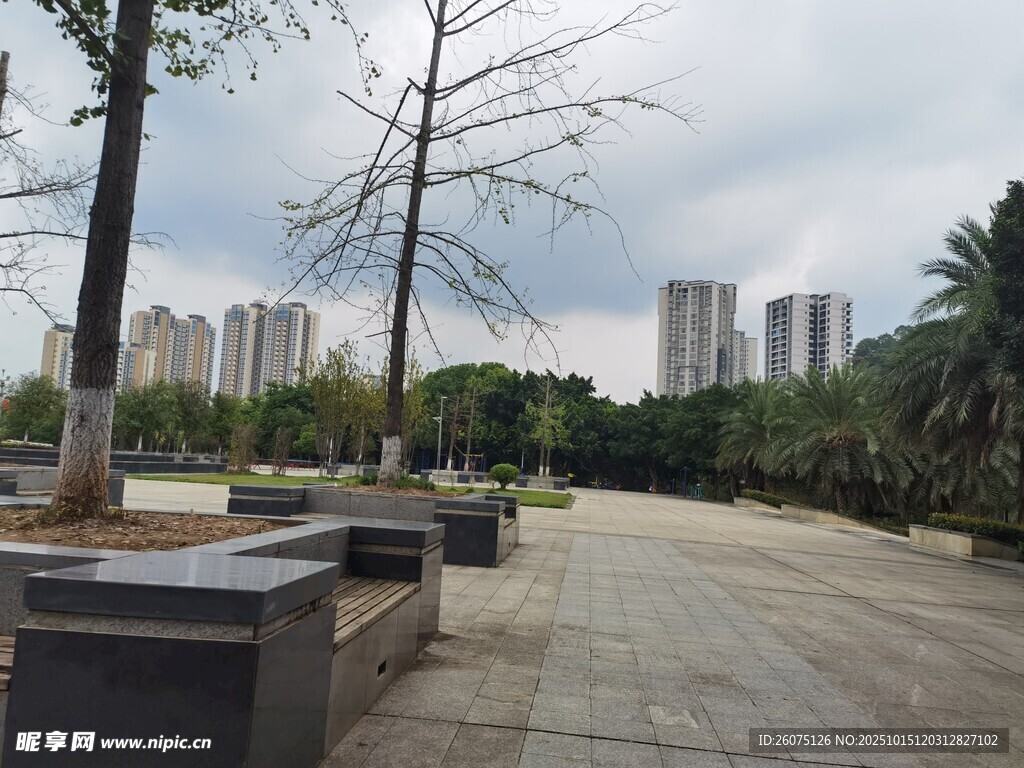 城市公园中的宁静步道