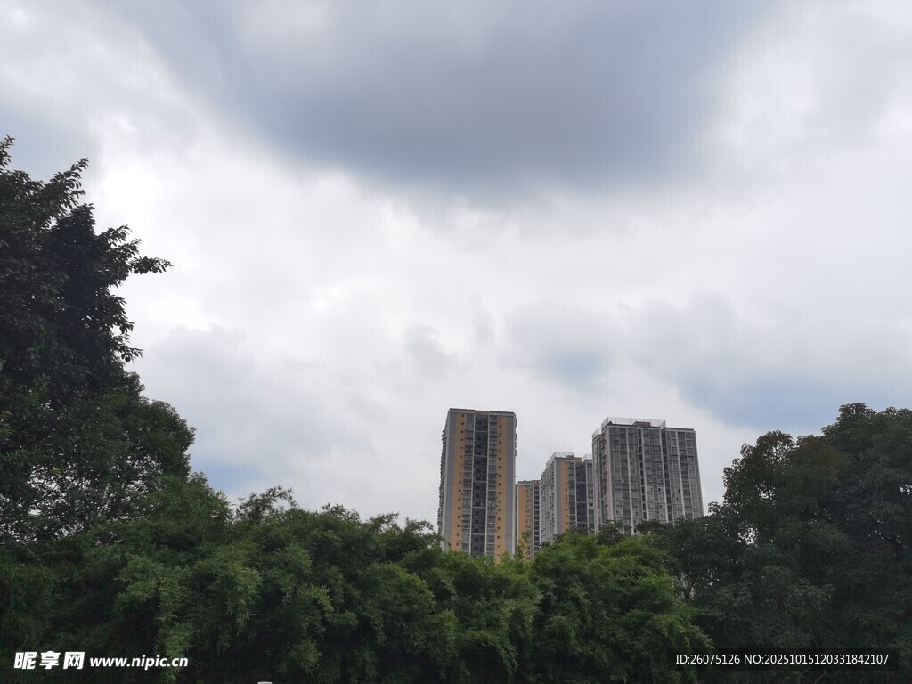 绿树掩映下的高楼景观