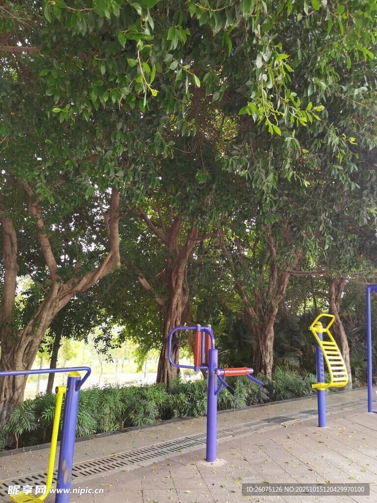 公园中的健身设施与绿树