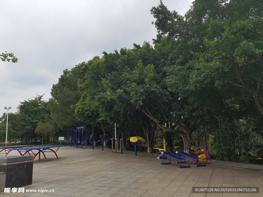 公园林荫下的休闲场景