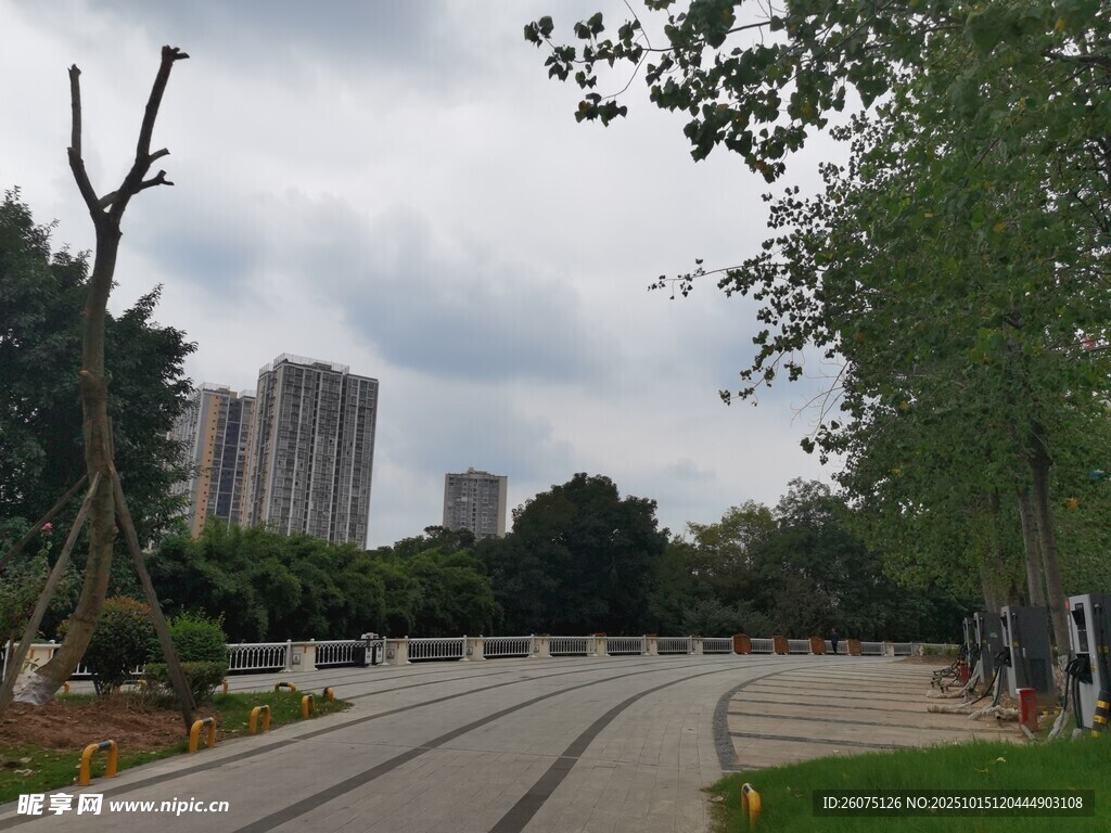 城市公园中的开阔道路景色