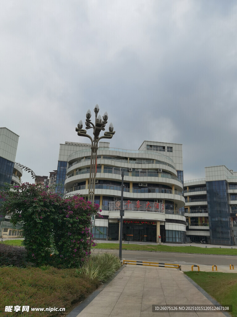 现代建筑旁的绿植景观