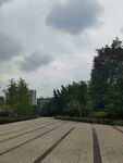 户外空旷广场与绿树景观