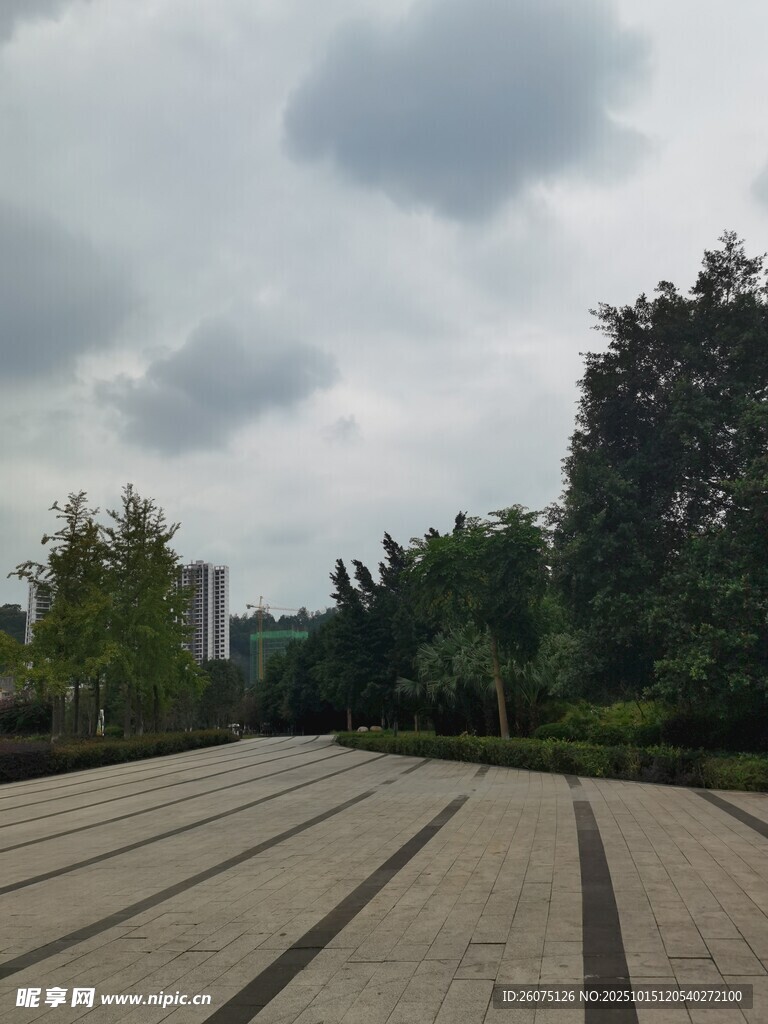 户外空旷广场与绿树景观