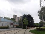 城市户外道路与绿植景观