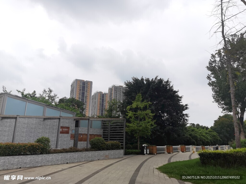 城市户外道路与绿植景观