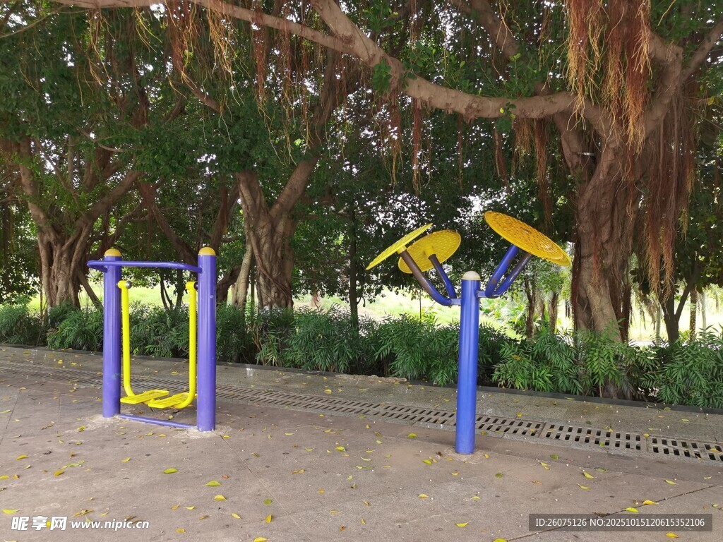户外公园健身器材场景