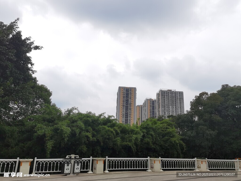 城市绿树间的高楼景致