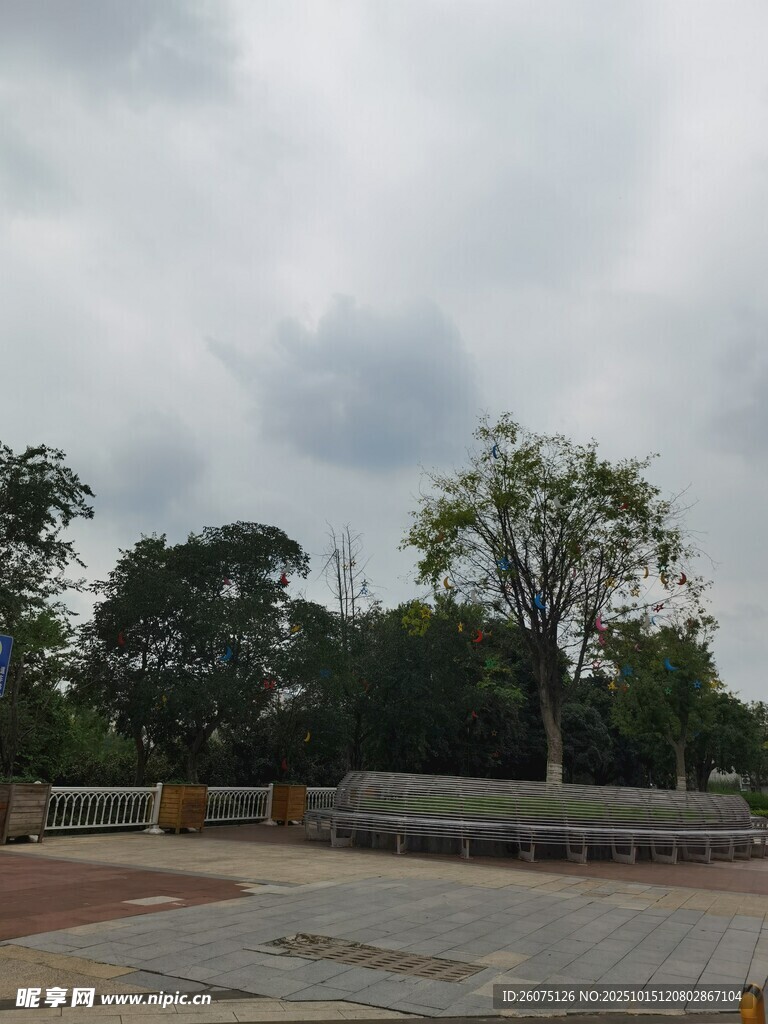 户外开阔场地与树木景观