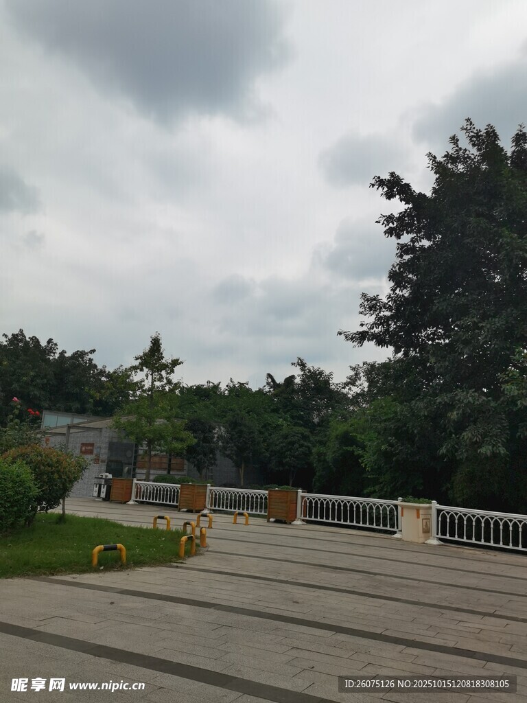 户外开阔场地与绿树景观