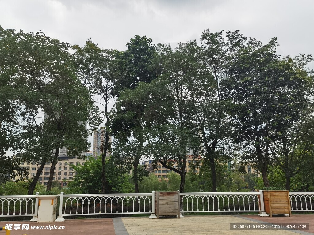 户外绿树与围栏景致