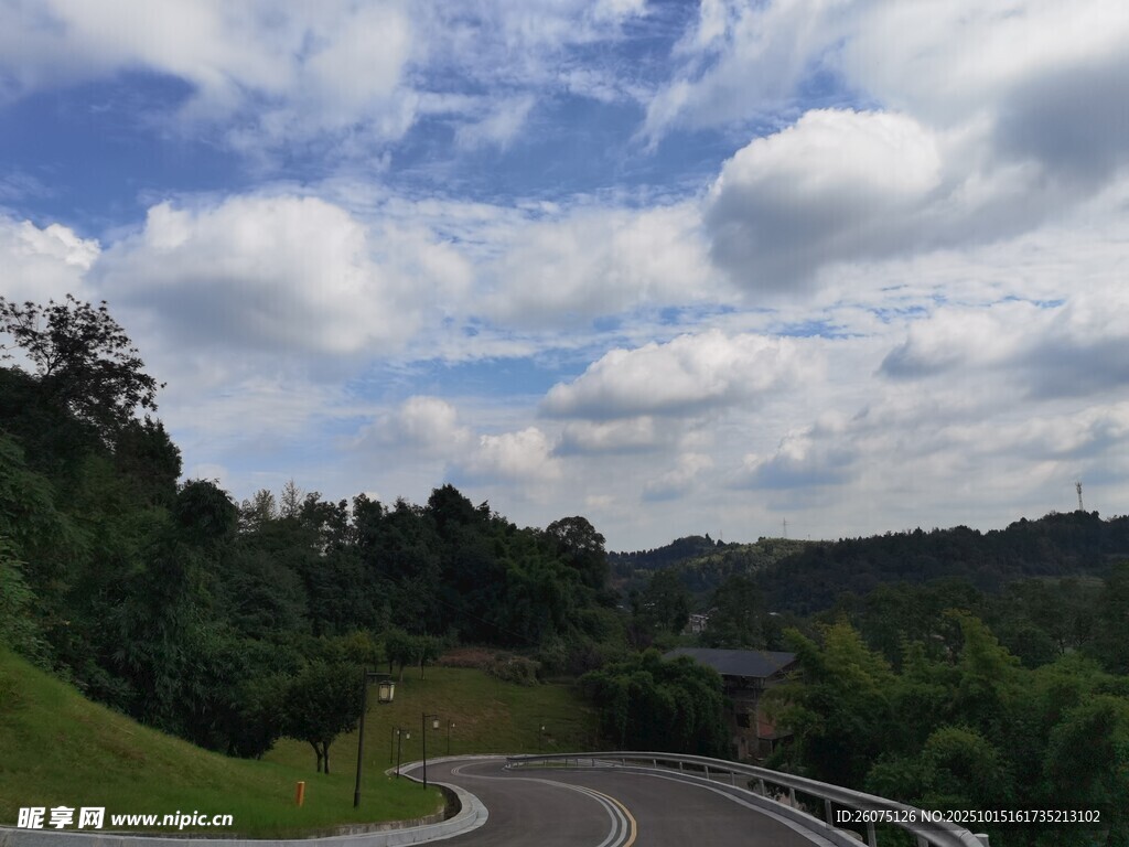 蜿蜒公路旁的葱郁山林
