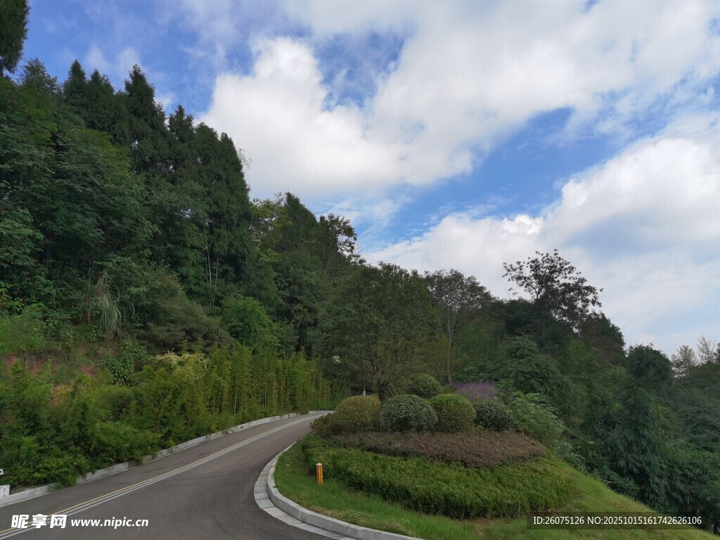 蜿蜒公路旁的葱郁山林