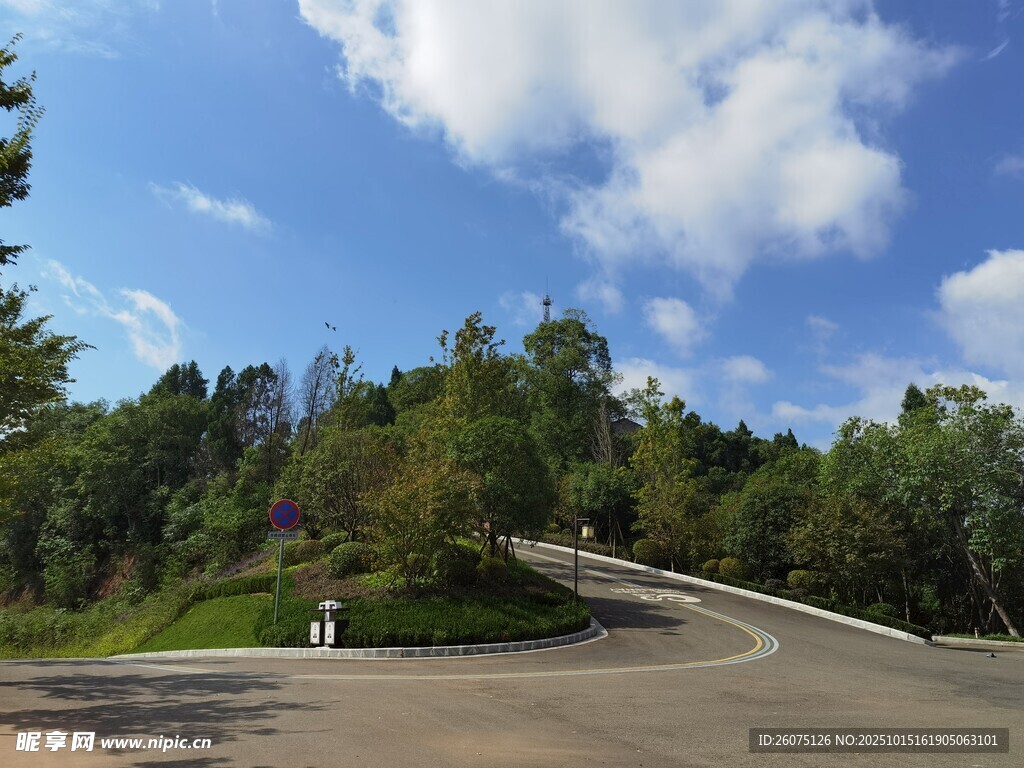 蜿蜒公路旁的葱郁山林