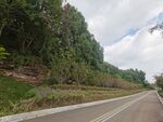 蜿蜒公路旁的葱郁山林