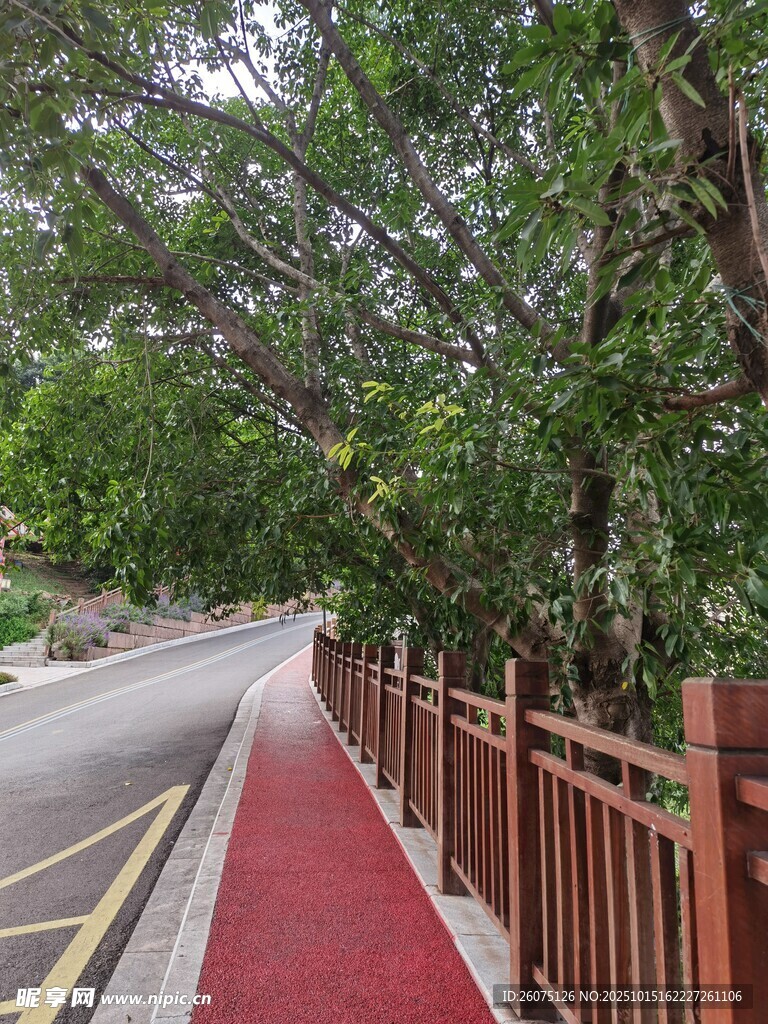 林荫下的红色步道
