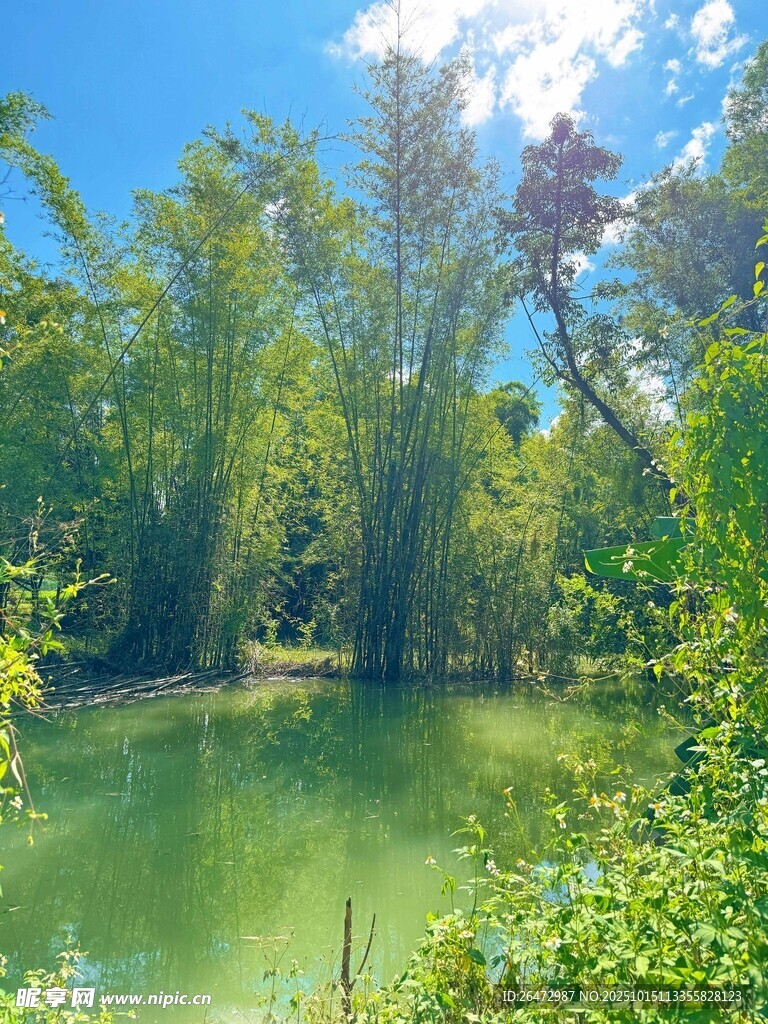 广西崇左明仕田园自然风景