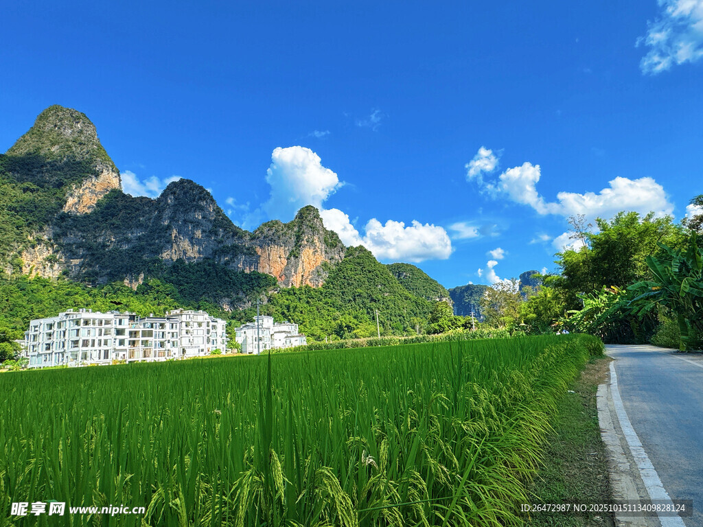 广西崇左明仕田园稻田和和山