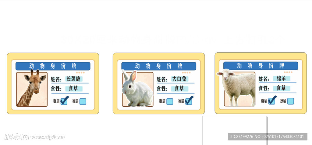 动物身份牌