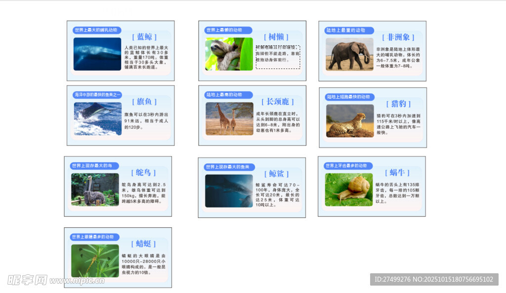 动物介绍牌