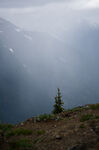 山