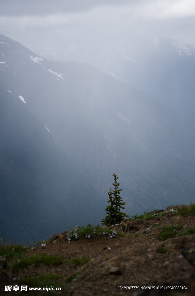 山