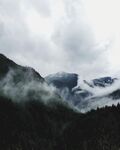 山