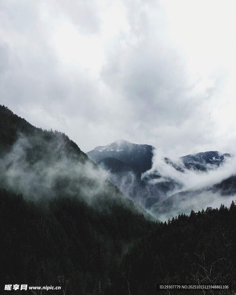 山