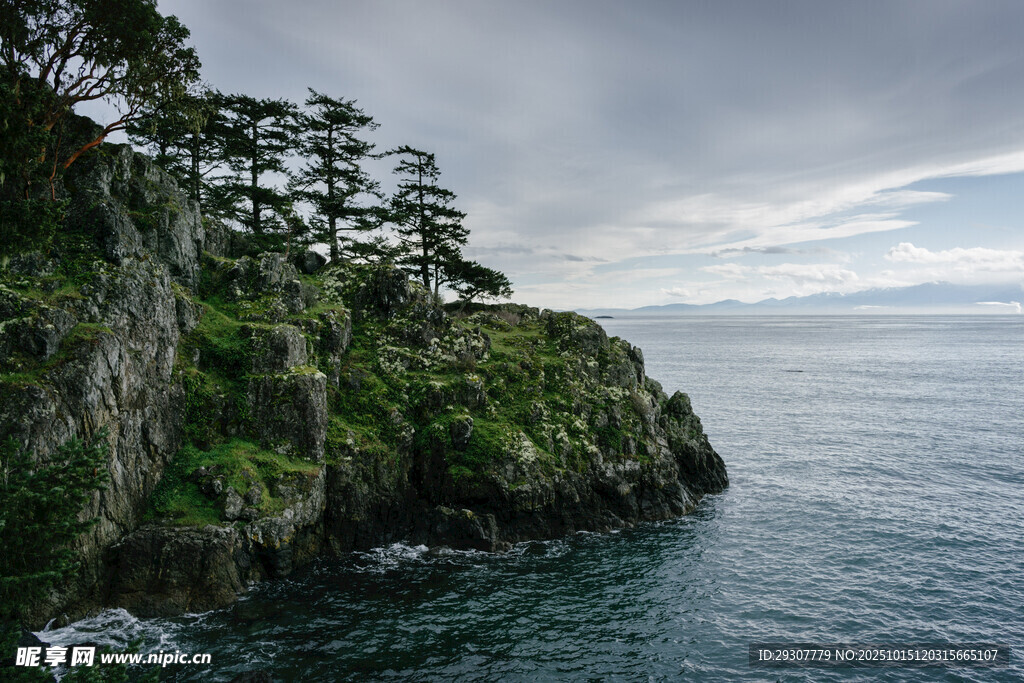 海岸