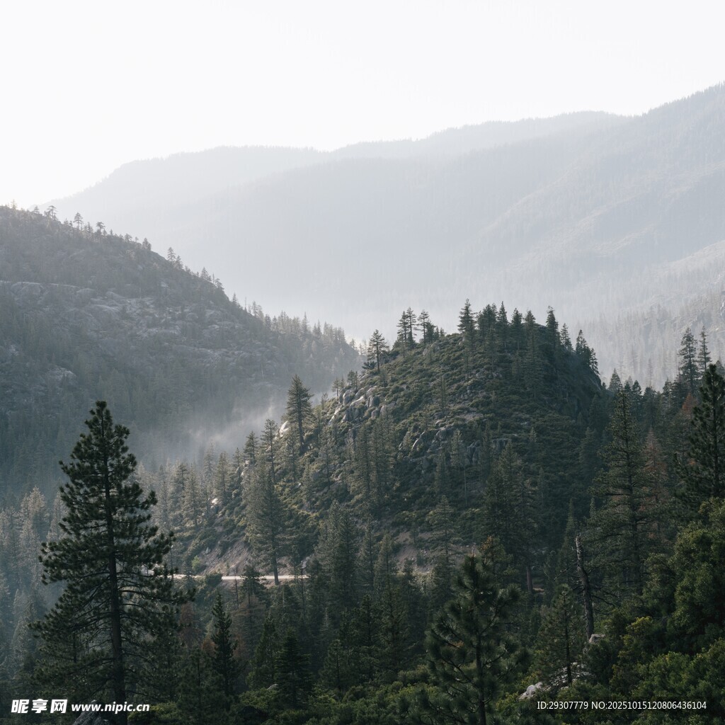 山林晨雾中的静谧自然景