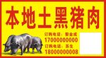 本地土黑猪肉宣传海报