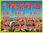 出售压榨茶籽油