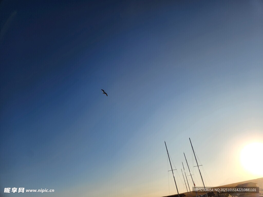 夕阳下的帆船与飞鸟