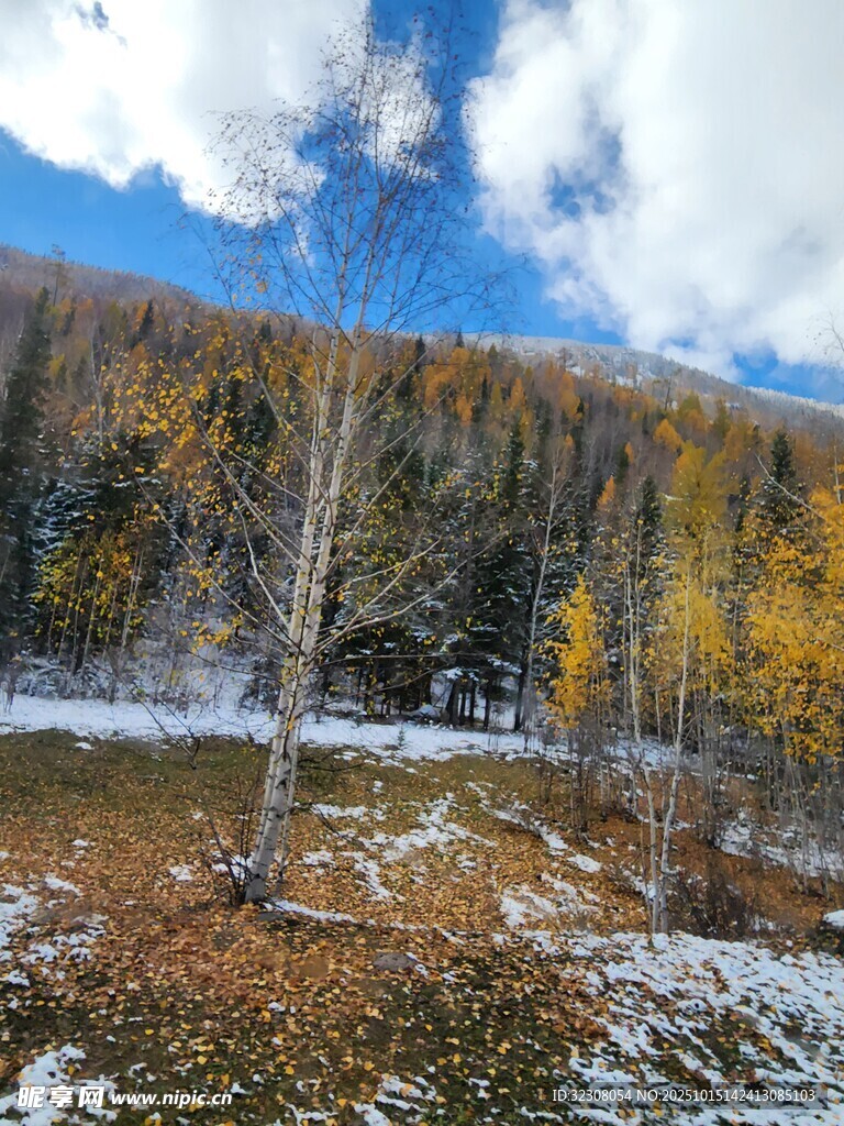 秋日山林雪景迷人风光