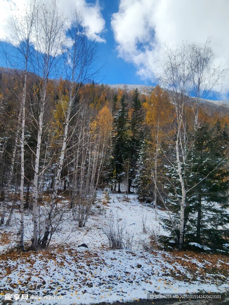 雪覆山林的秋日美景