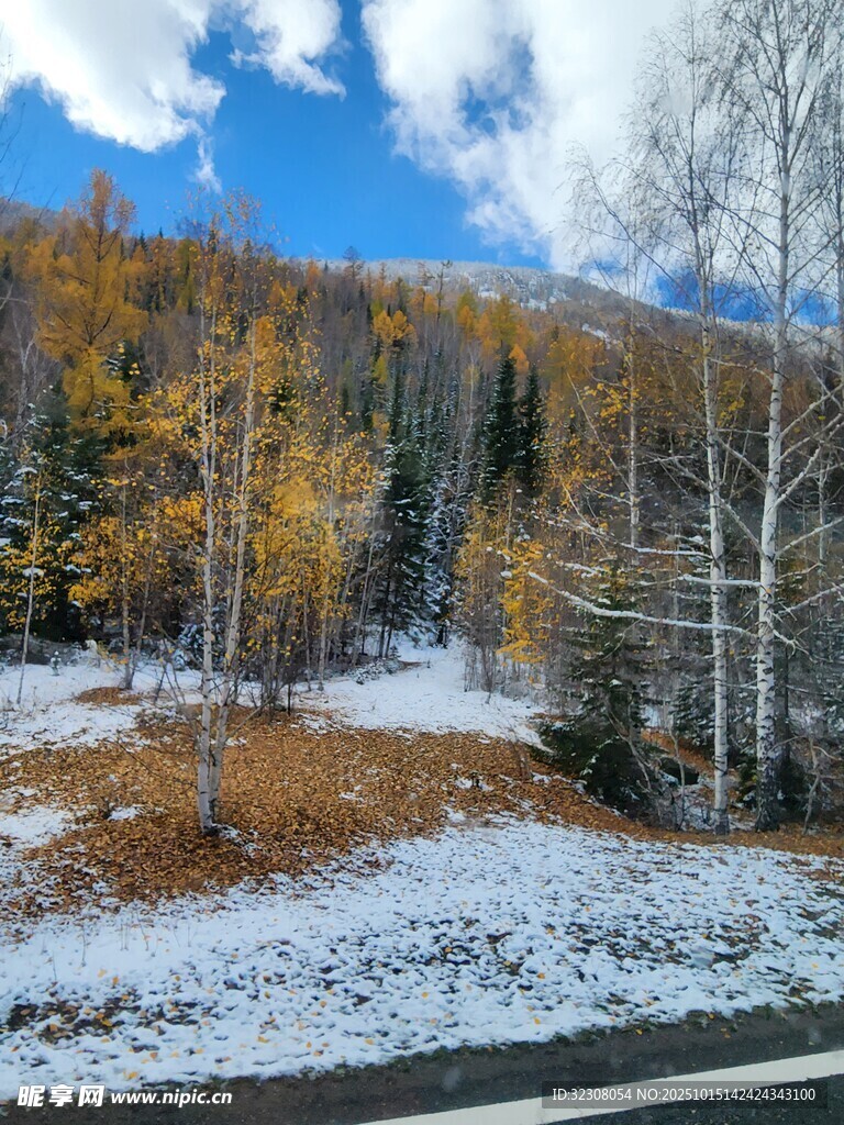 秋末雪景中的山林风光