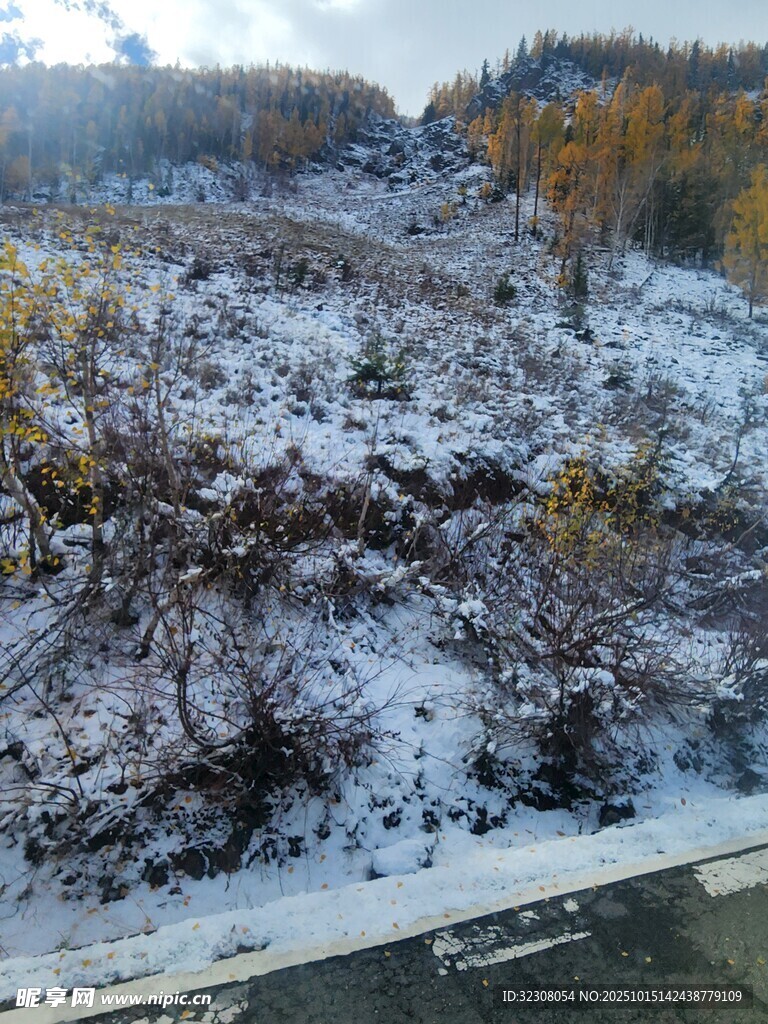 冬日雪覆山林景观
