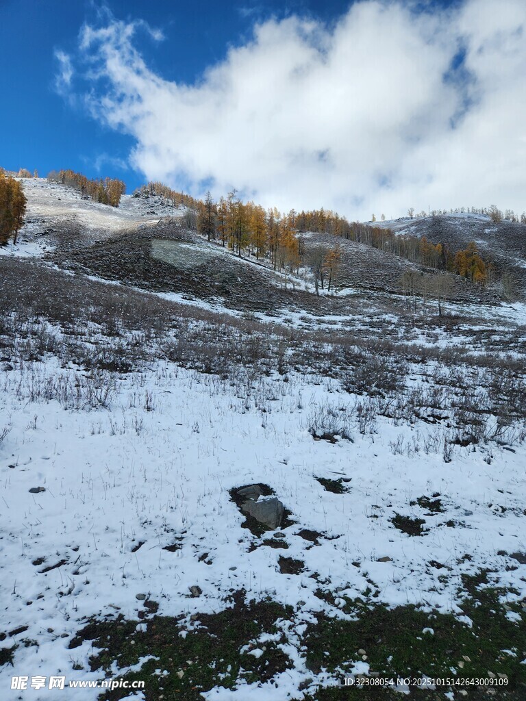雪覆山坡的秋日美景