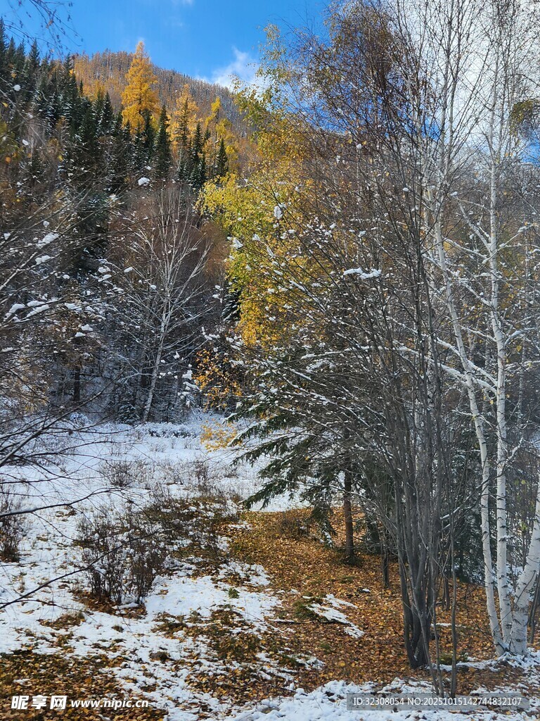 秋日山林雪景