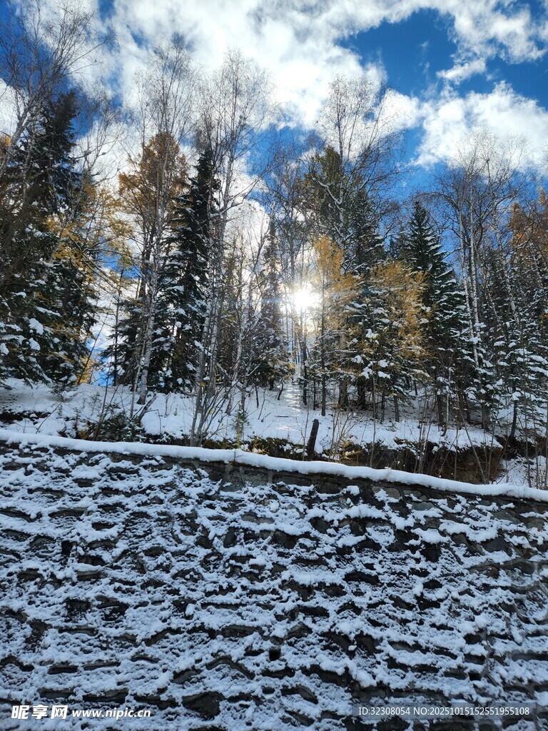 冬日雪林阳光美景